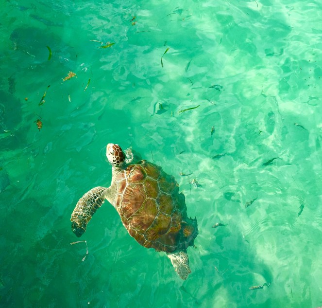 FF75D473-96F8-4F90-9974-E38F563C2A83