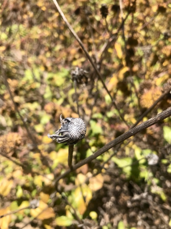 0900CFB2-237D-4DDC-BAD1-FF35D2D0A60A